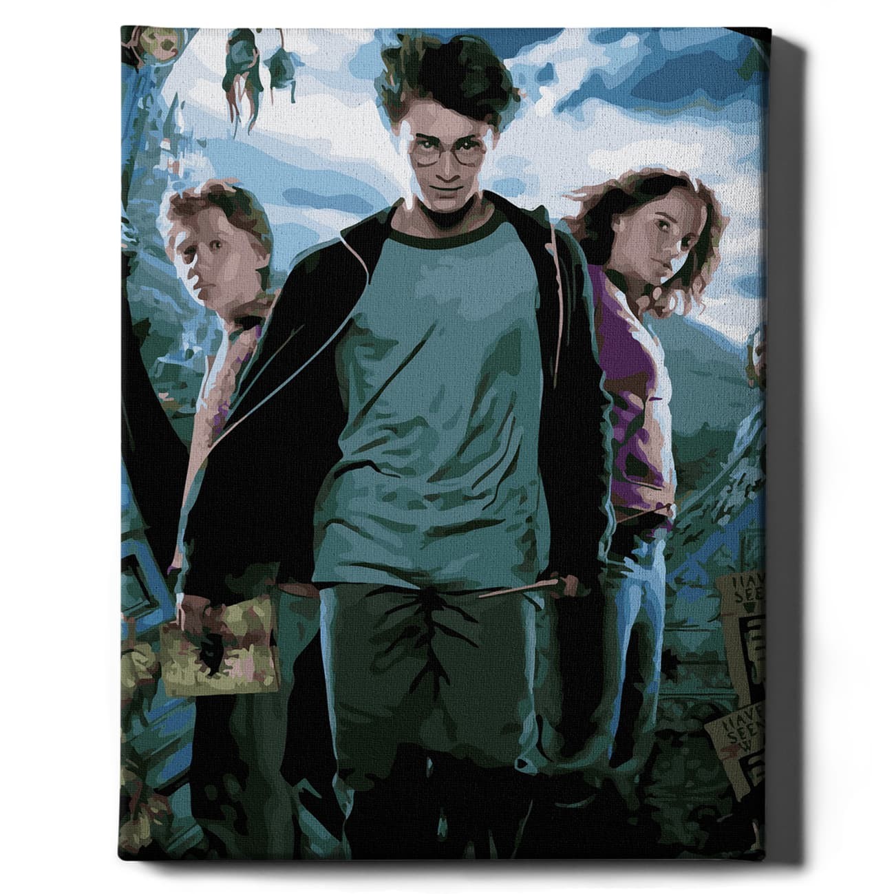 malowanie-po-numerach-harry-potter-oh-art