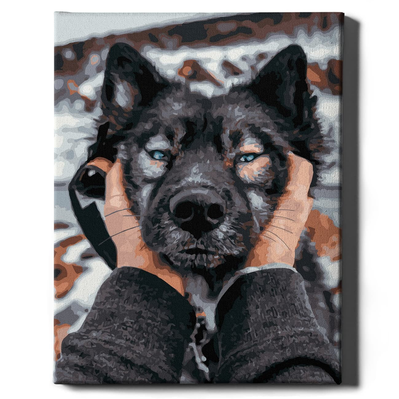 malowanie-po-numerach-husky-syberyjski-oh-art