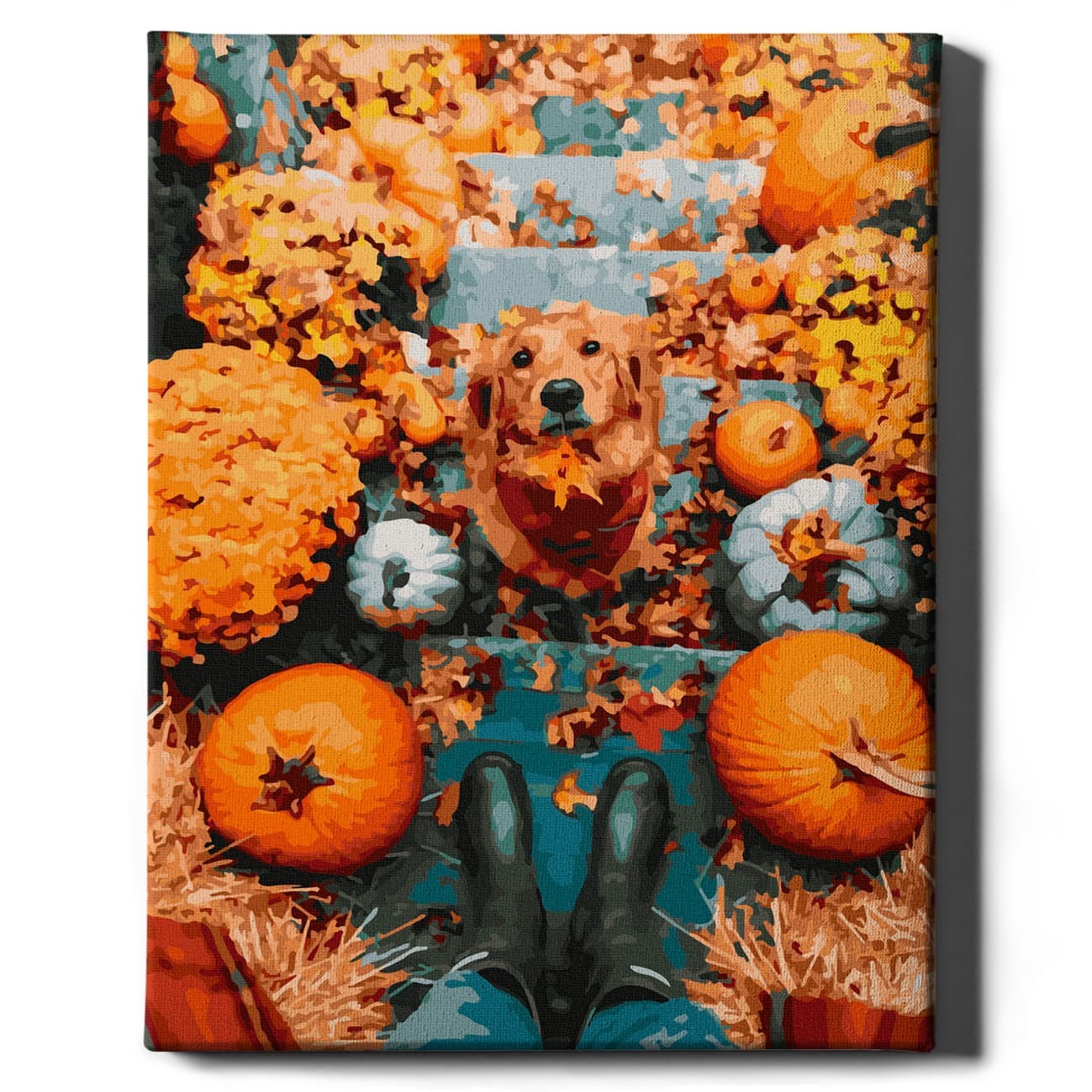 malowanie-po-numerach-retriever-i-dynie-oh-art