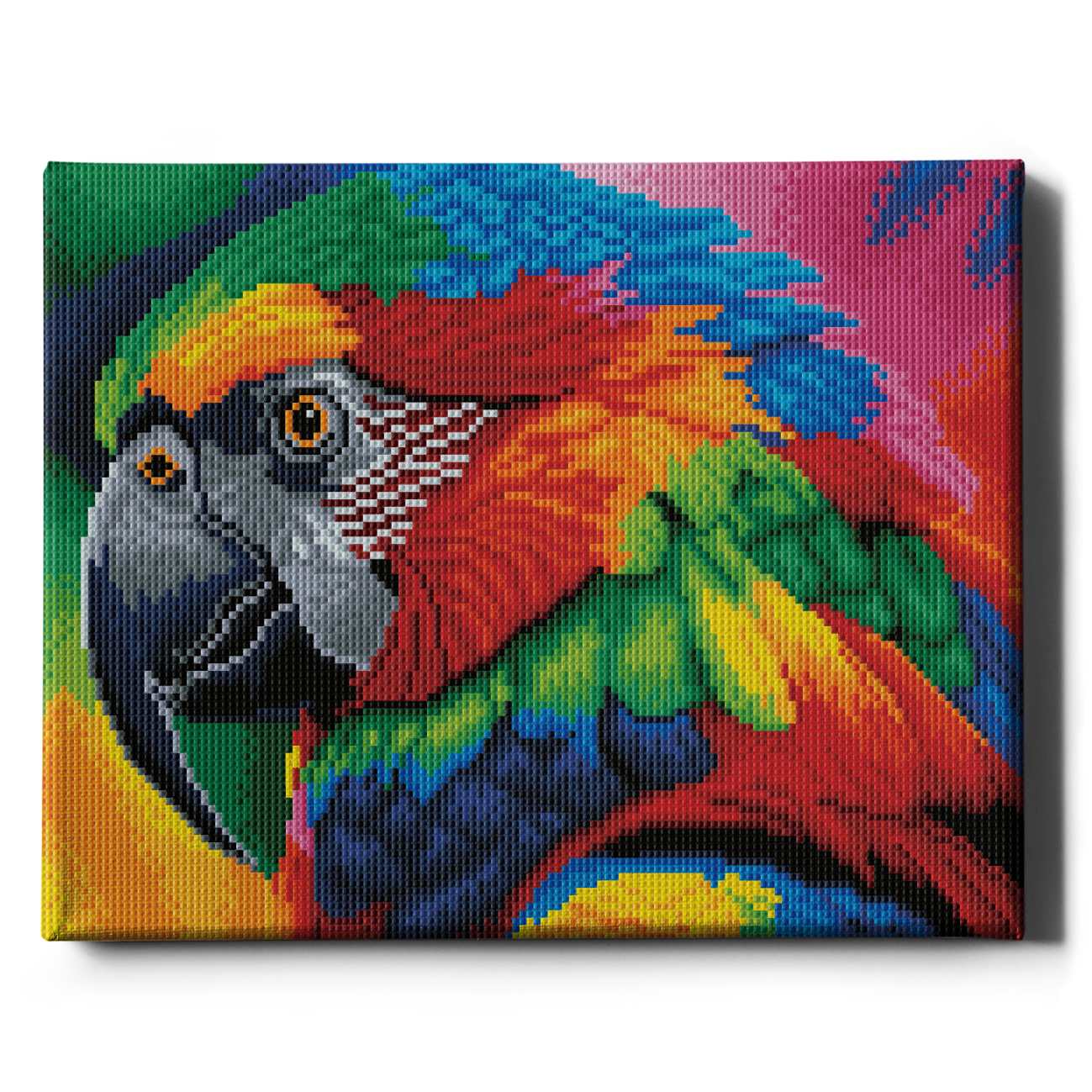 mozaika-diamentowa-wielokolorowa-papuga-oh-art